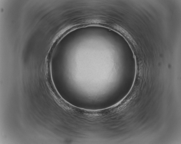 X0000086231031200703291324