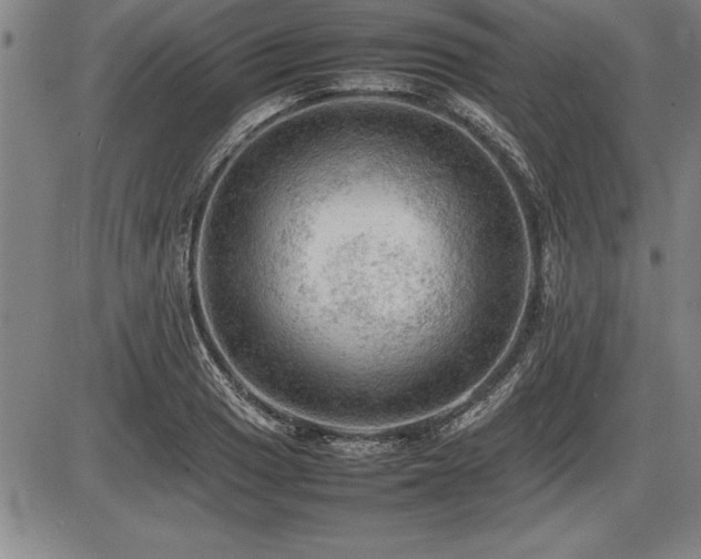 X0000086231033200703291324