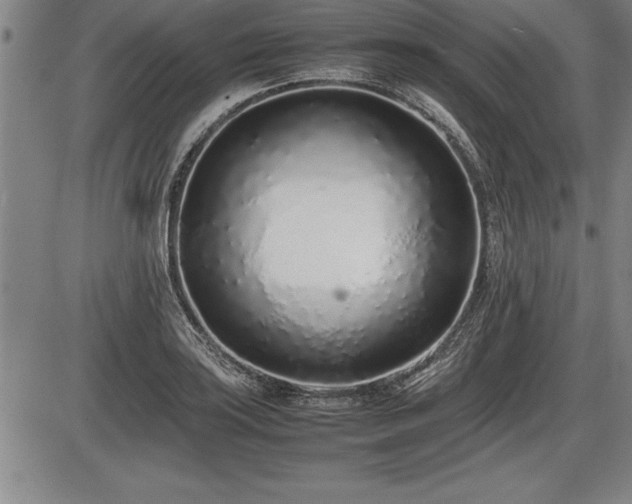 X0000086231035200703291324