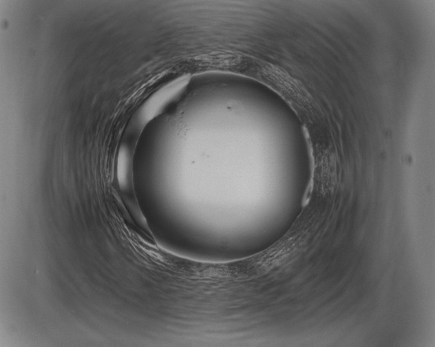 X0000086231058200703291324