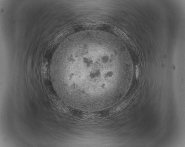 X0000086231059200703291324