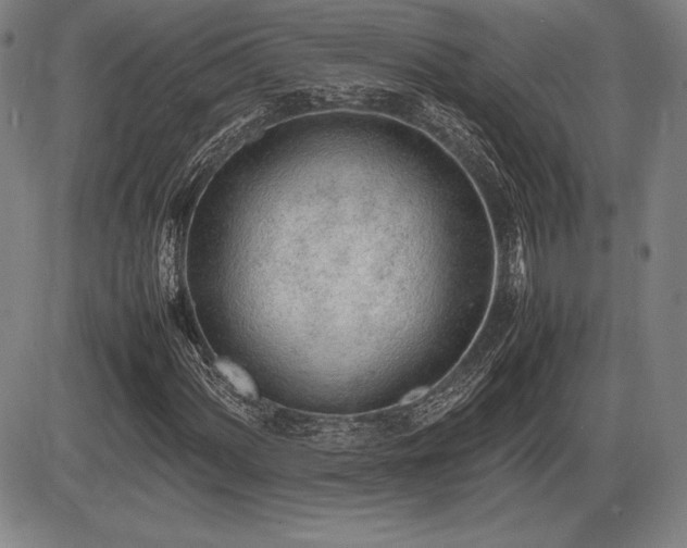 X0000086231060200703291324