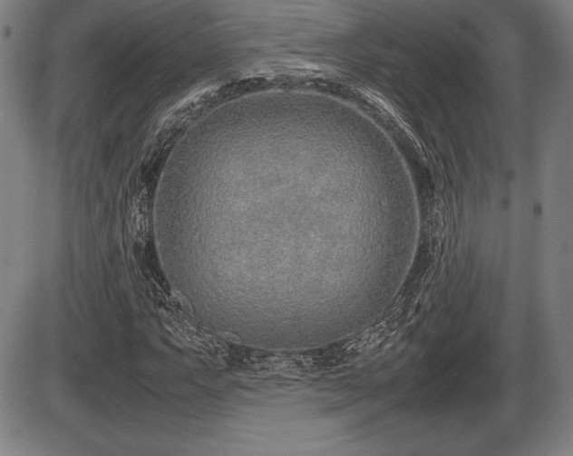 X0000086231063200703291324
