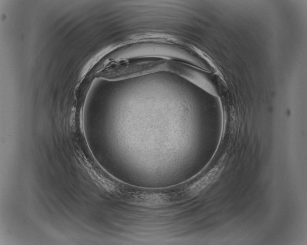 X0000086231066200703291324