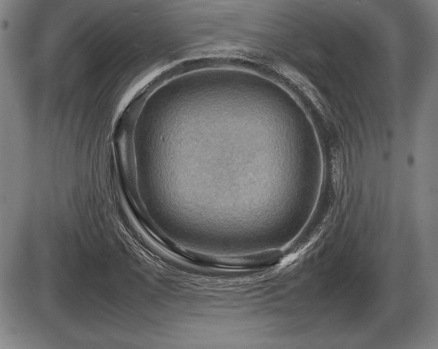 X0000086231069200703291323