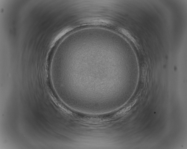 X0000086231071200703291323