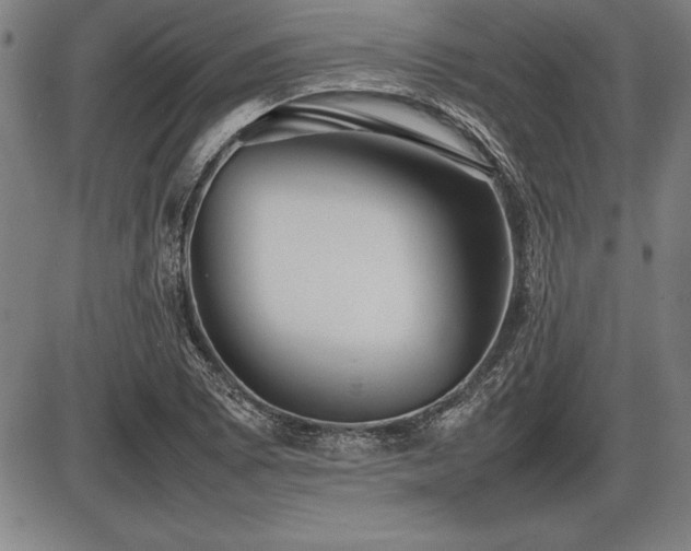 X0000086231073200703291323