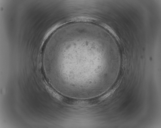 X0000086231075200703291323