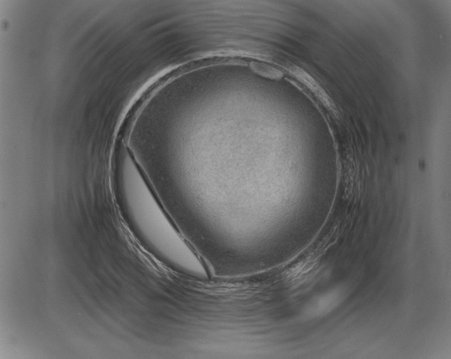 X0000086231076200703291323