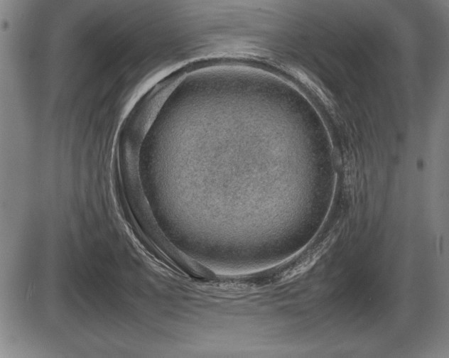 X0000086231077200703291323
