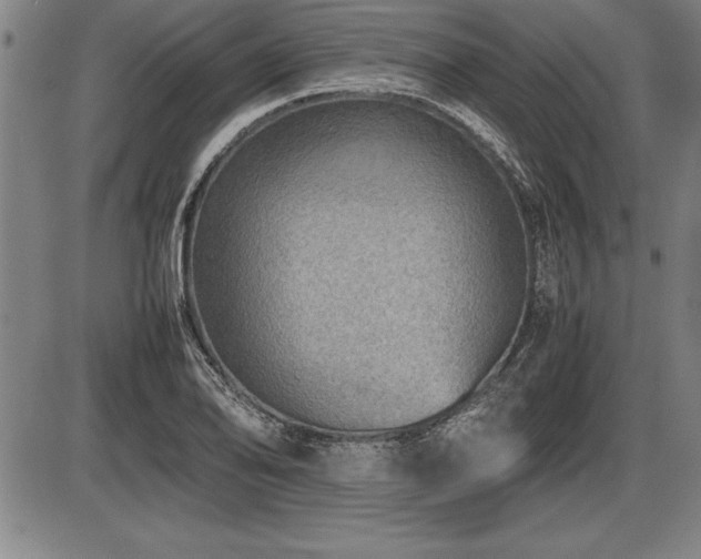 X0000086231078200703291323