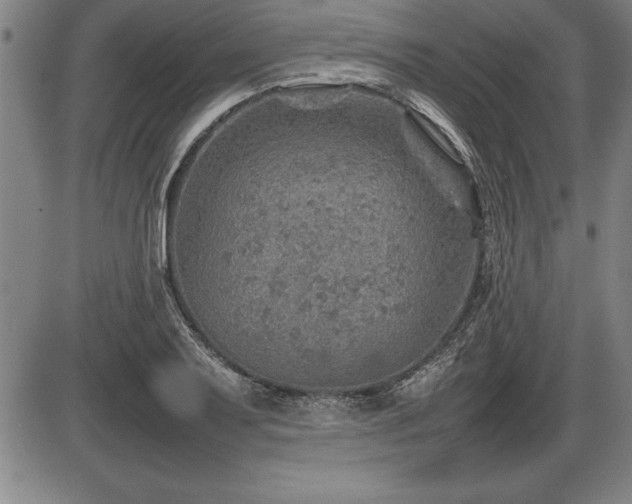 X0000086231079200703291323
