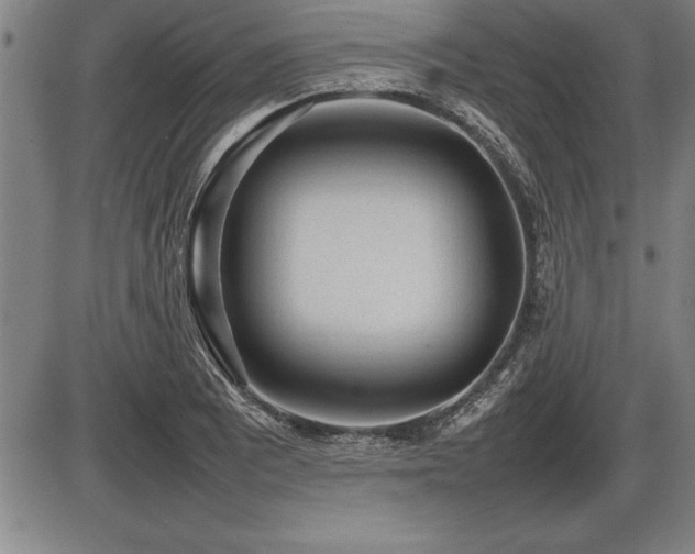 X0000086231081200703291323