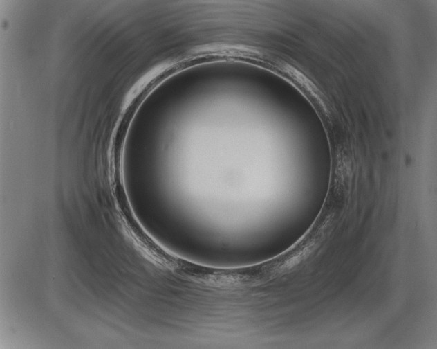 X0000086231082200703291323