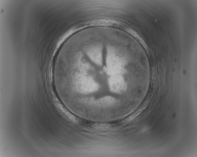 X0000086231083200703291323