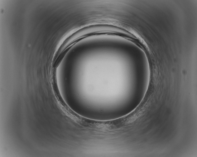X0000086231085200703291323