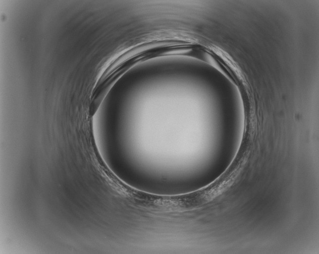 X0000086231089200703291323