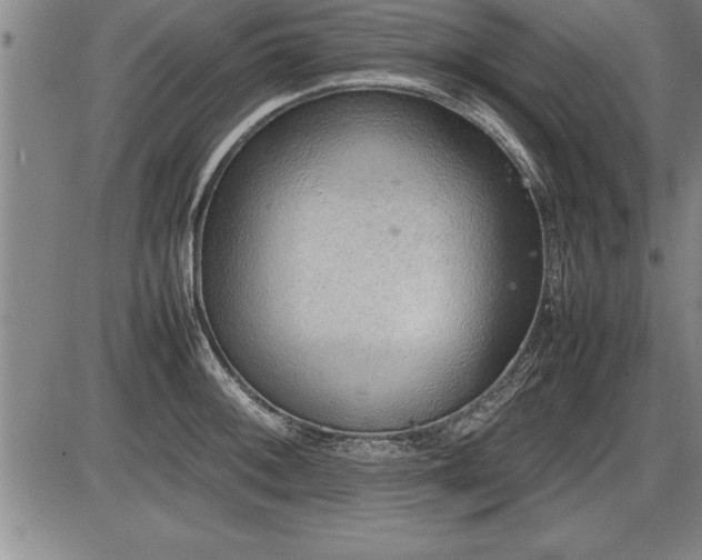 X0000086231092200703291323