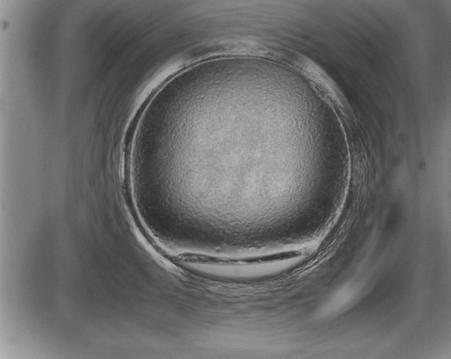 X0000086231095200703291323