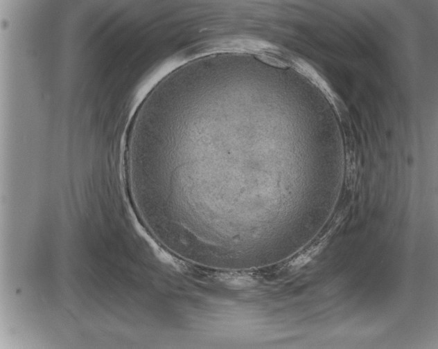 X0000086231103200703291323
