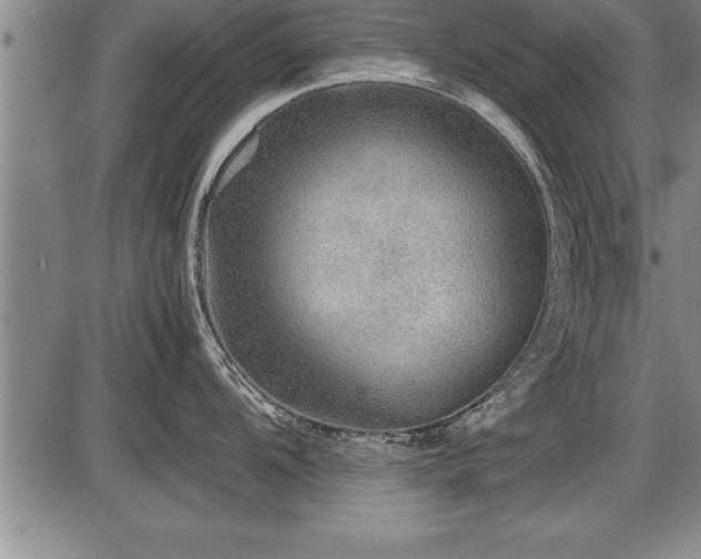 X0000086231104200703291323
