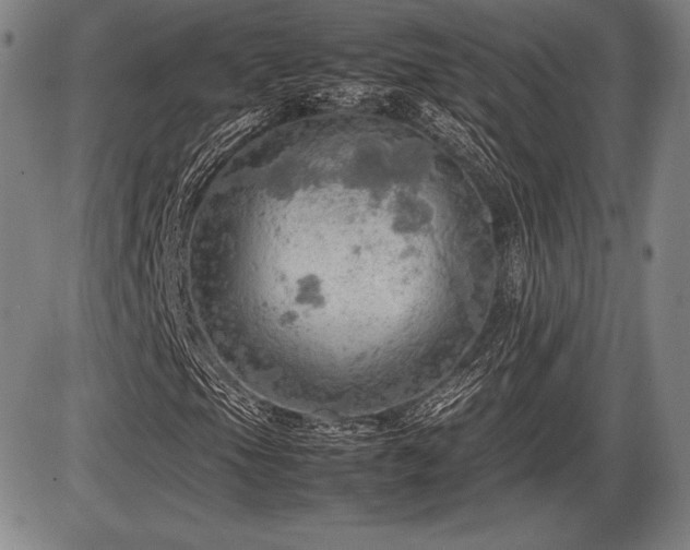 X0000086231105200703291322
