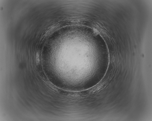 X0000086231106200703291322