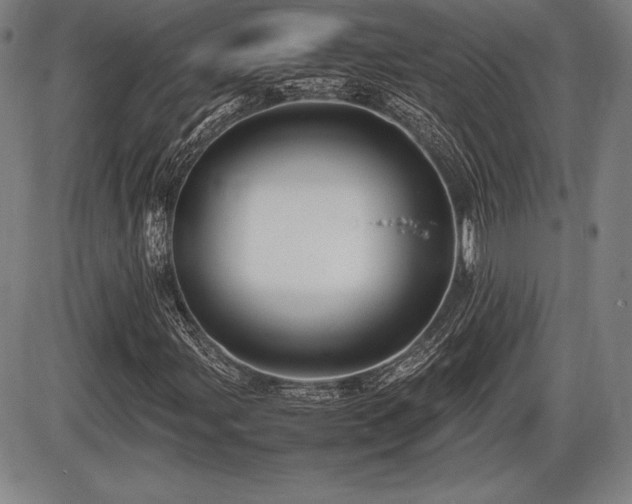 X0000086231107200703291322
