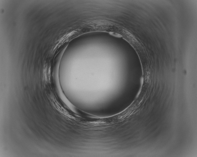 X0000086231108200703291322