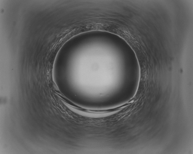 X0000086231109200703291322