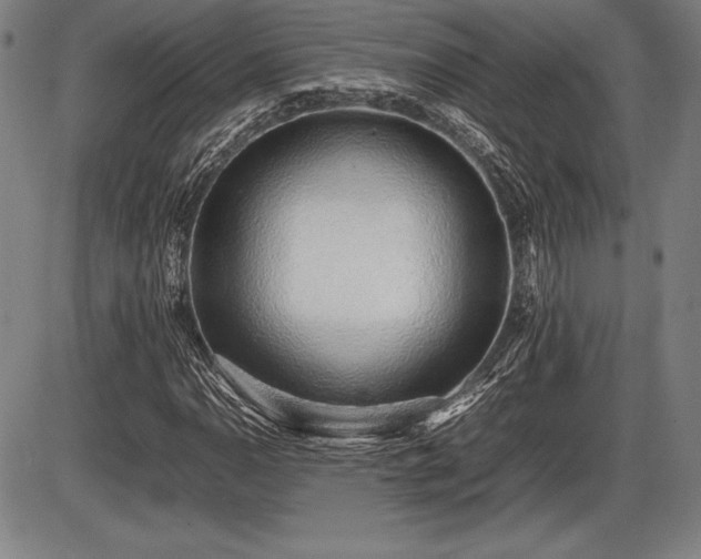 X0000086231110200703291322