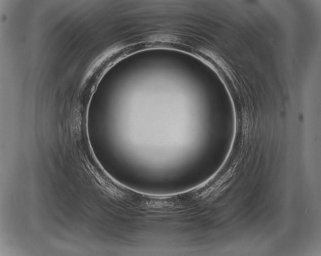 X0000086231115200703291322