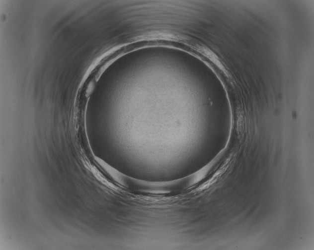 X0000086231116200703291322