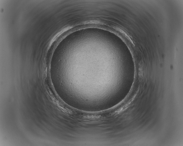 X0000086231117200703291322