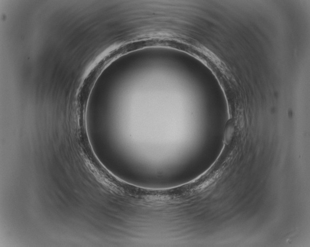 X0000086231118200703291322