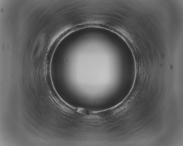 X0000086231119200703291322
