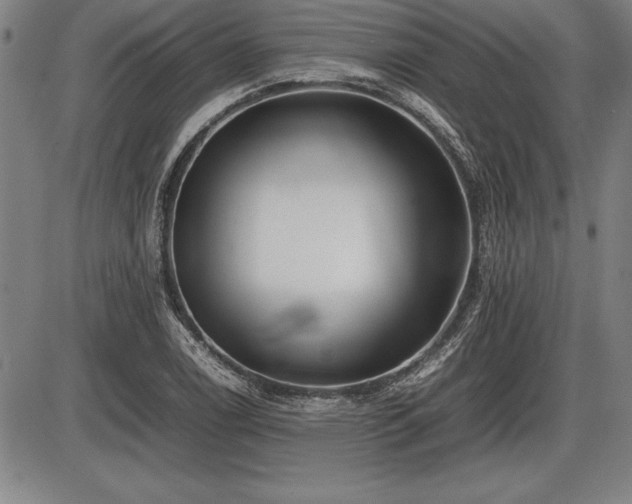 X0000086231122200703291322
