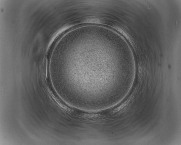 X0000086231123200703291322