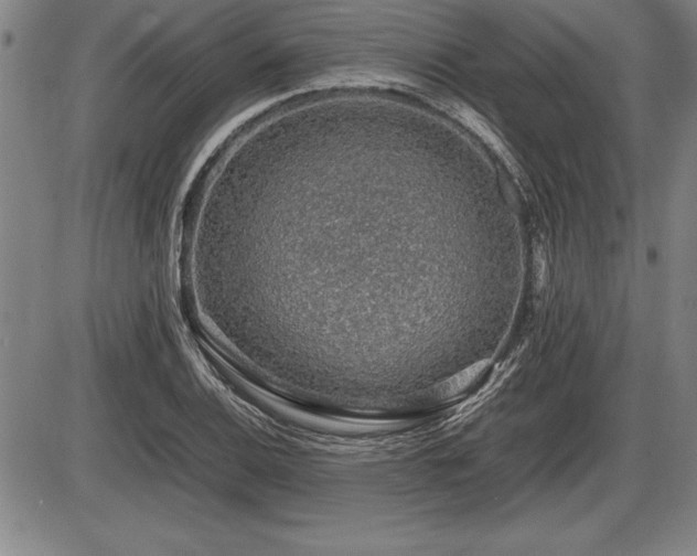 X0000086231124200703291322