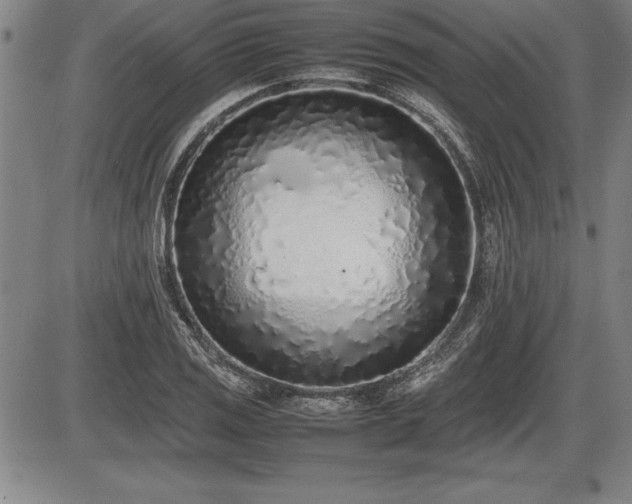 X0000086231125200703291322