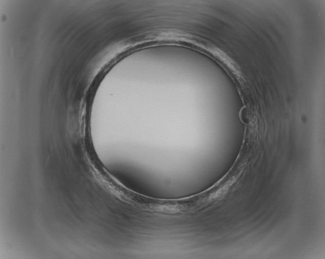 X0000086231126200703291322