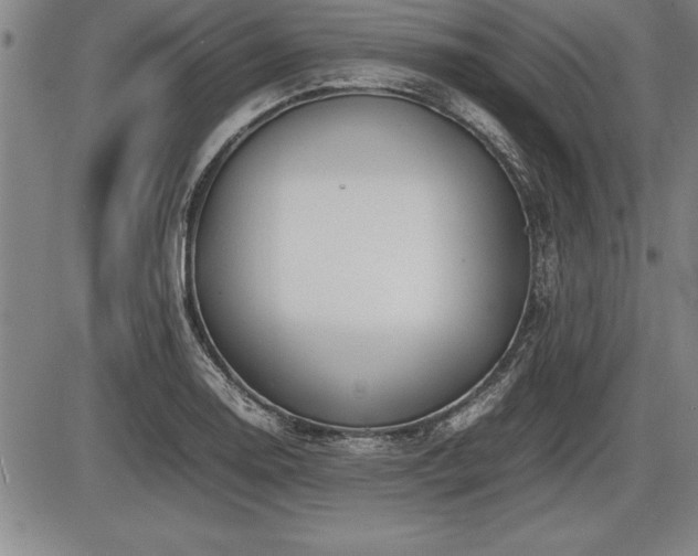 X0000086231130200703291323