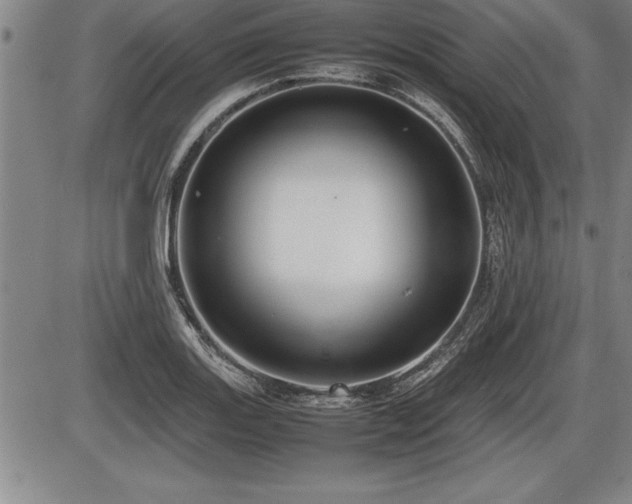 X0000086231131200703291323
