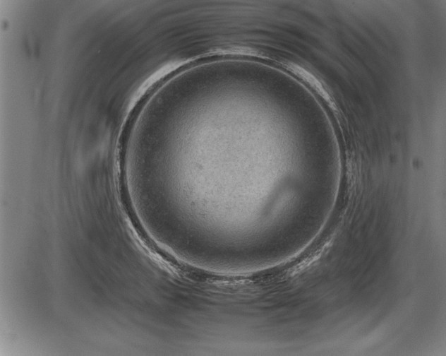 X0000086231133200703291323