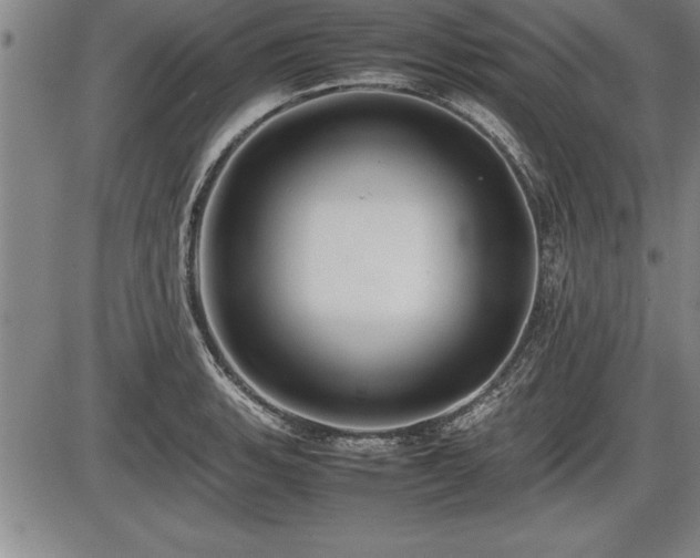 X0000086231135200703291323