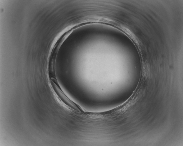 X0000086231136200703291323