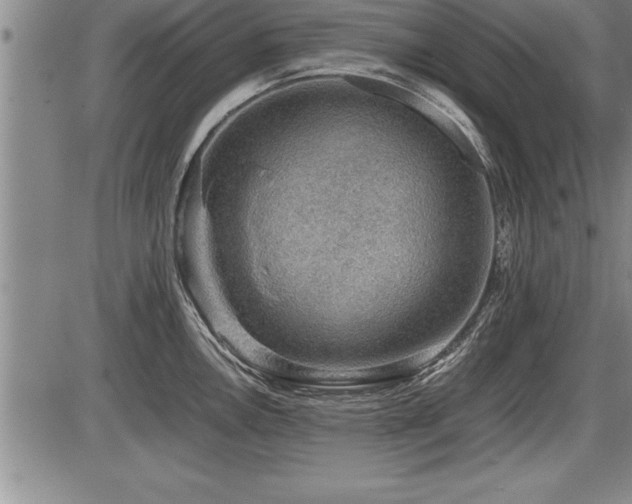 X0000086231146200703291323
