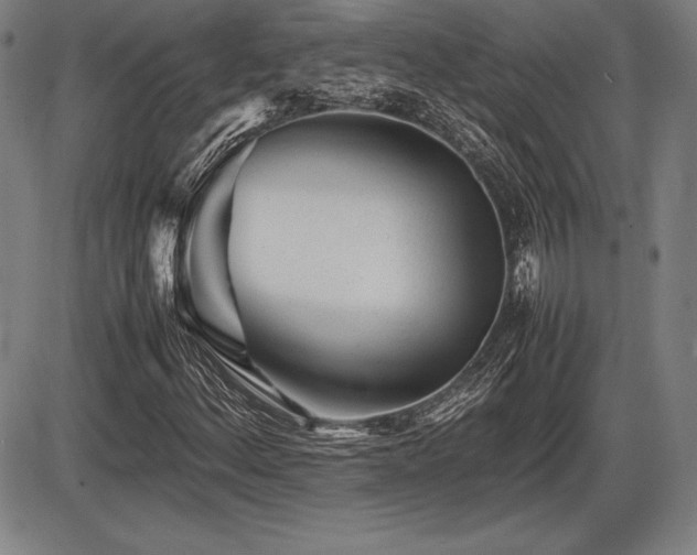 X0000086231156200703291322