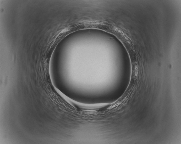 X0000086231157200703291322