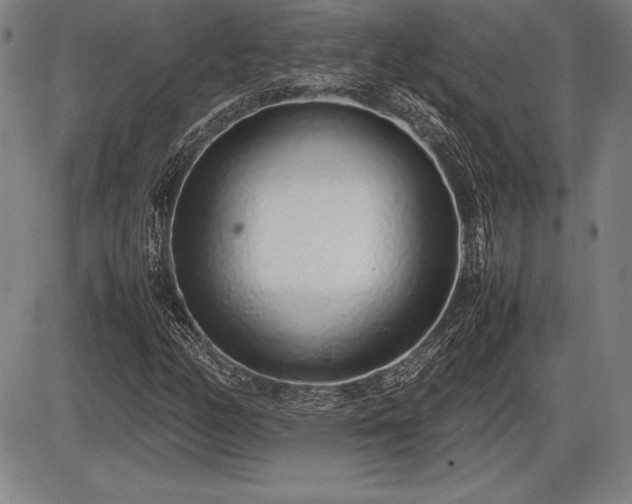 X0000086231158200703291322